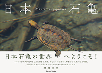 【電子版】日本石亀